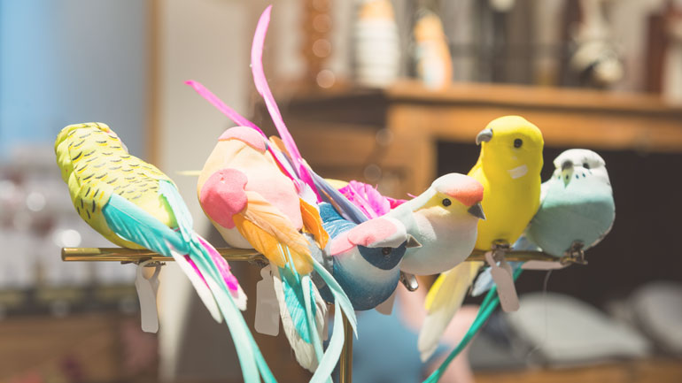 20072023-standort-falkenstrasse-770x433-vogel--20-prozent